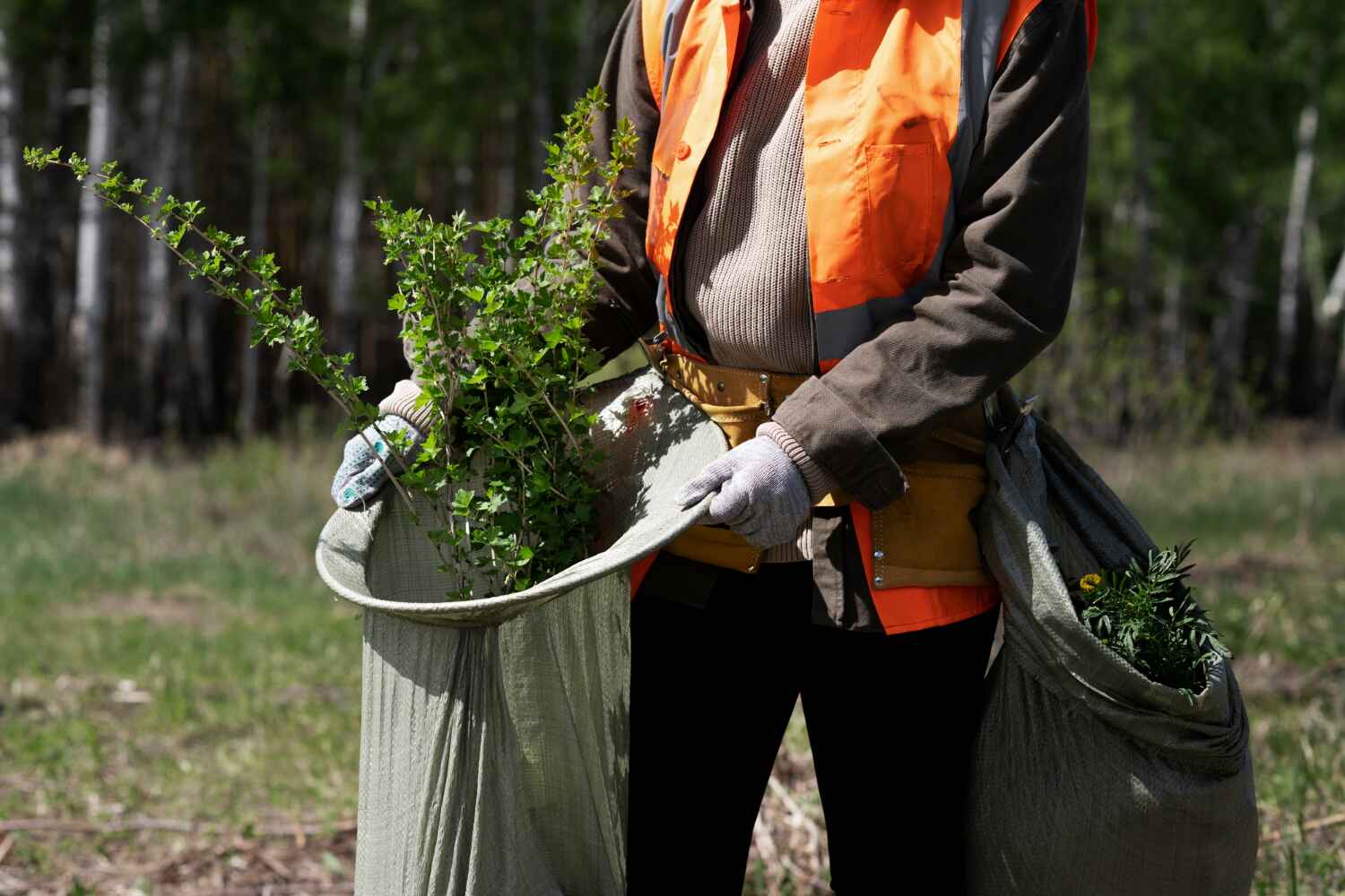 Best Dead Tree Removal  in Clare, MI